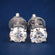 Classic White Gold Plated Diamond Stud Earrings for Men and Women Jweldim Jewels
