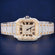 Two Tone VVS Moissanite Diamond Solid Gold Plated Iced Out Hip Hop Rapper for Women Watch Jweldim Jewels