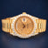 Luxury Yellow Gold Unisex Watch with Roman Numerals & Full Iced Out Shine Jweldim Jewels